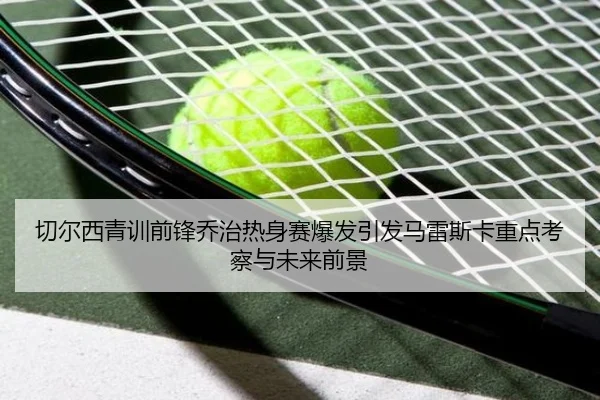 img_1785329687952_496_1_817.jpg